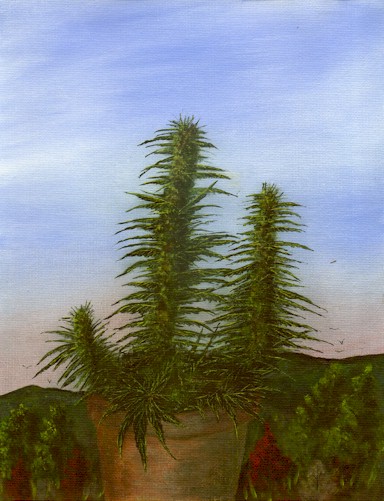 description